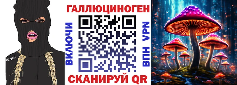Псилоцибиновые грибы Psilocybine cubensis  Сегежа 