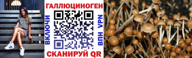 Галлюциногенные грибы MAGIC MUSHROOMS Сегежа