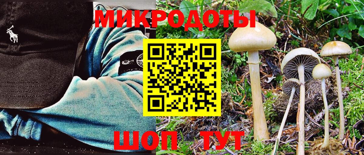 Галлюциногенные грибы ЛСД  Псилоцибиновые грибы Cubensis  Вход с VPN  Сегежа 
