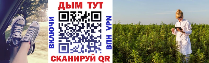 как найти   Сегежа  мега как войти  Канабис VHQ 